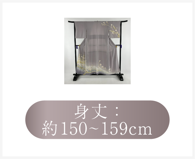 身丈：約150cm～約159cm