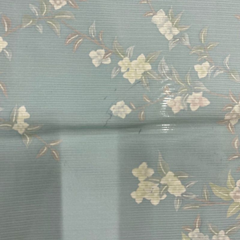 小紋 身丈166cm 裄丈65cm M 薄物 絽 草花 水色 正絹 秀品｜中古